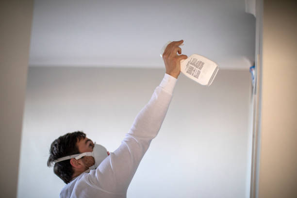 Best Professional Mold Removal  in Advance, MO